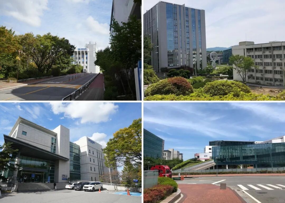 访校纪实丨领创蔚来国际教育韩国访校之旅(图101)