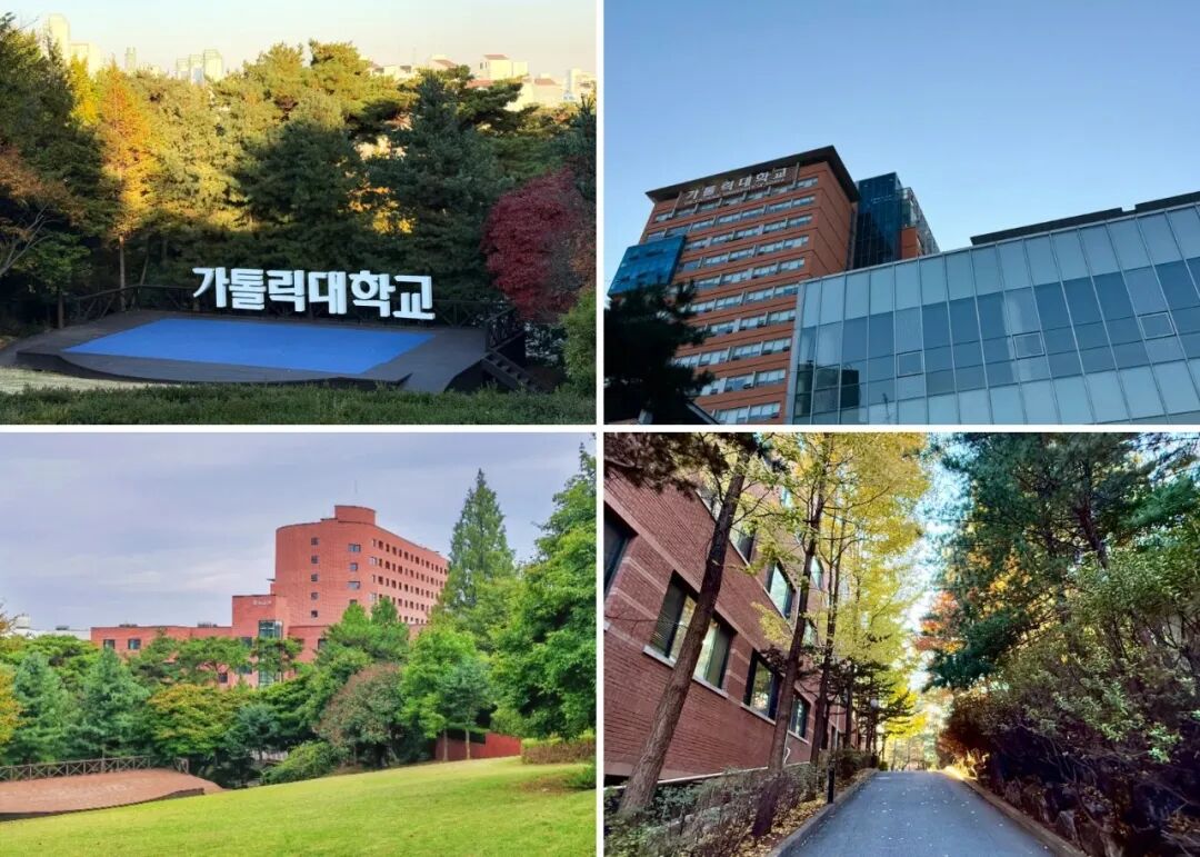 访校纪实丨领创蔚来国际教育韩国访校之旅(图41)