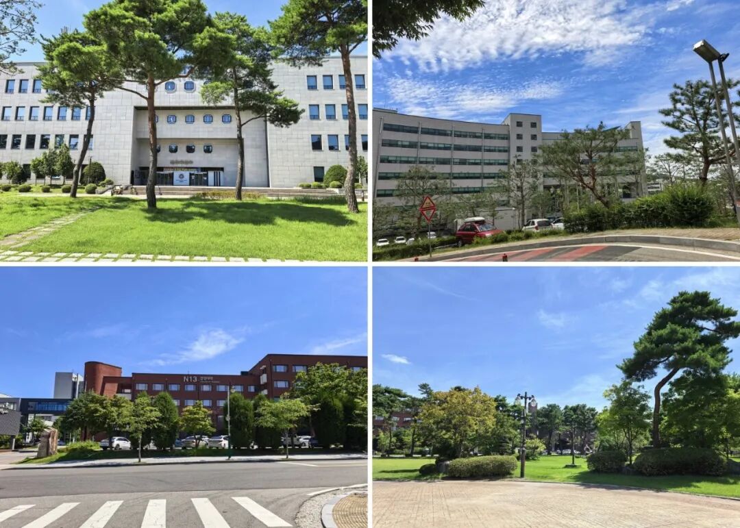 访校纪实丨领创蔚来国际教育韩国访校之旅(图60)