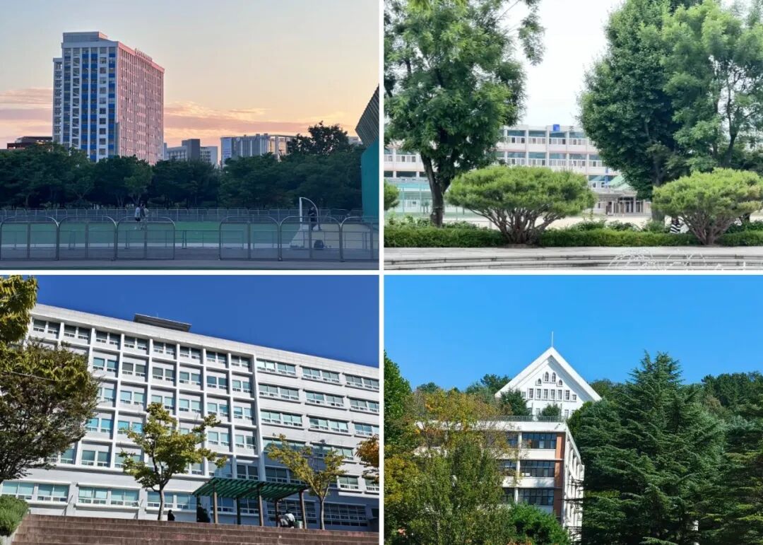 访校纪实丨领创蔚来国际教育韩国访校之旅(图82)