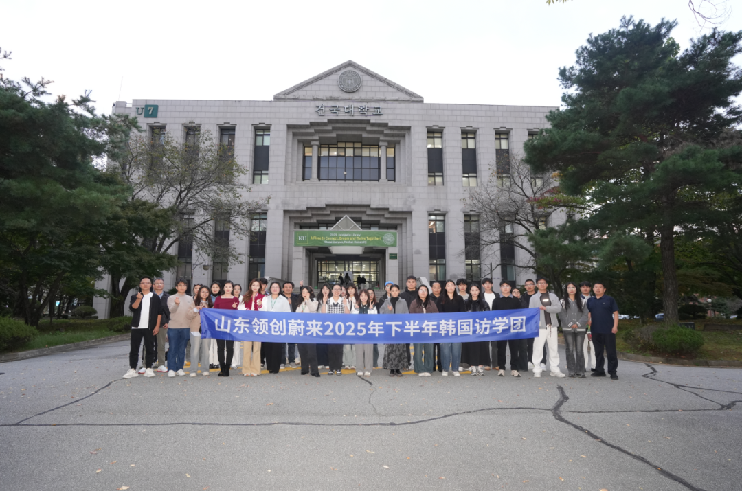 访校纪实丨领创蔚来国际教育韩国访校之旅(图35)