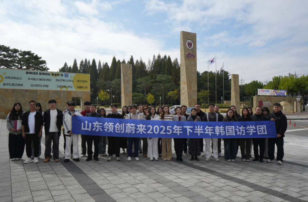 访校纪实丨领创蔚来国际教育韩国访校之旅(图59)