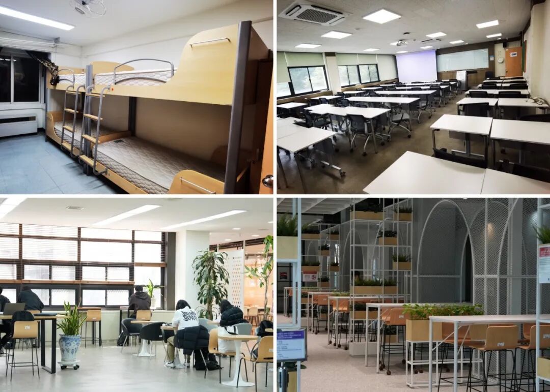 访校纪实丨领创蔚来国际教育韩国访校之旅(图27)