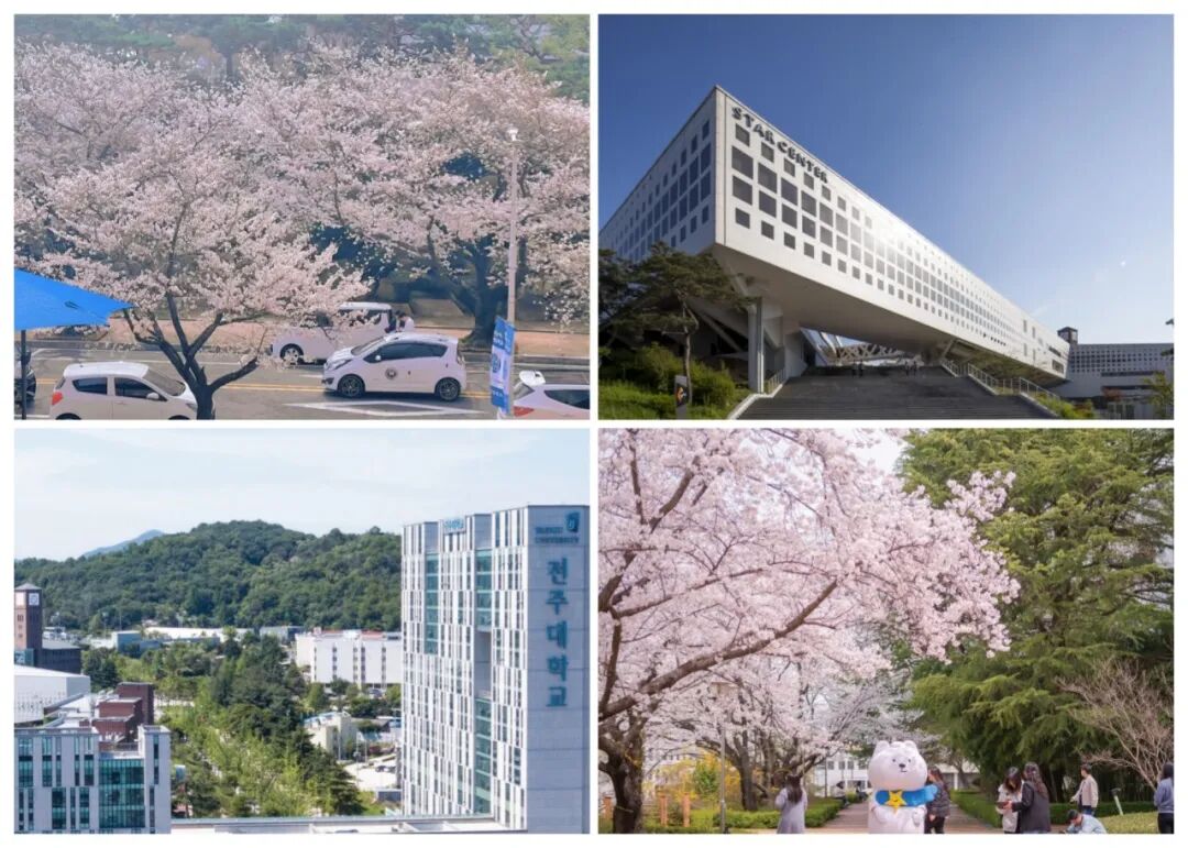 访校纪实丨领创蔚来国际教育韩国访校之旅(图105)