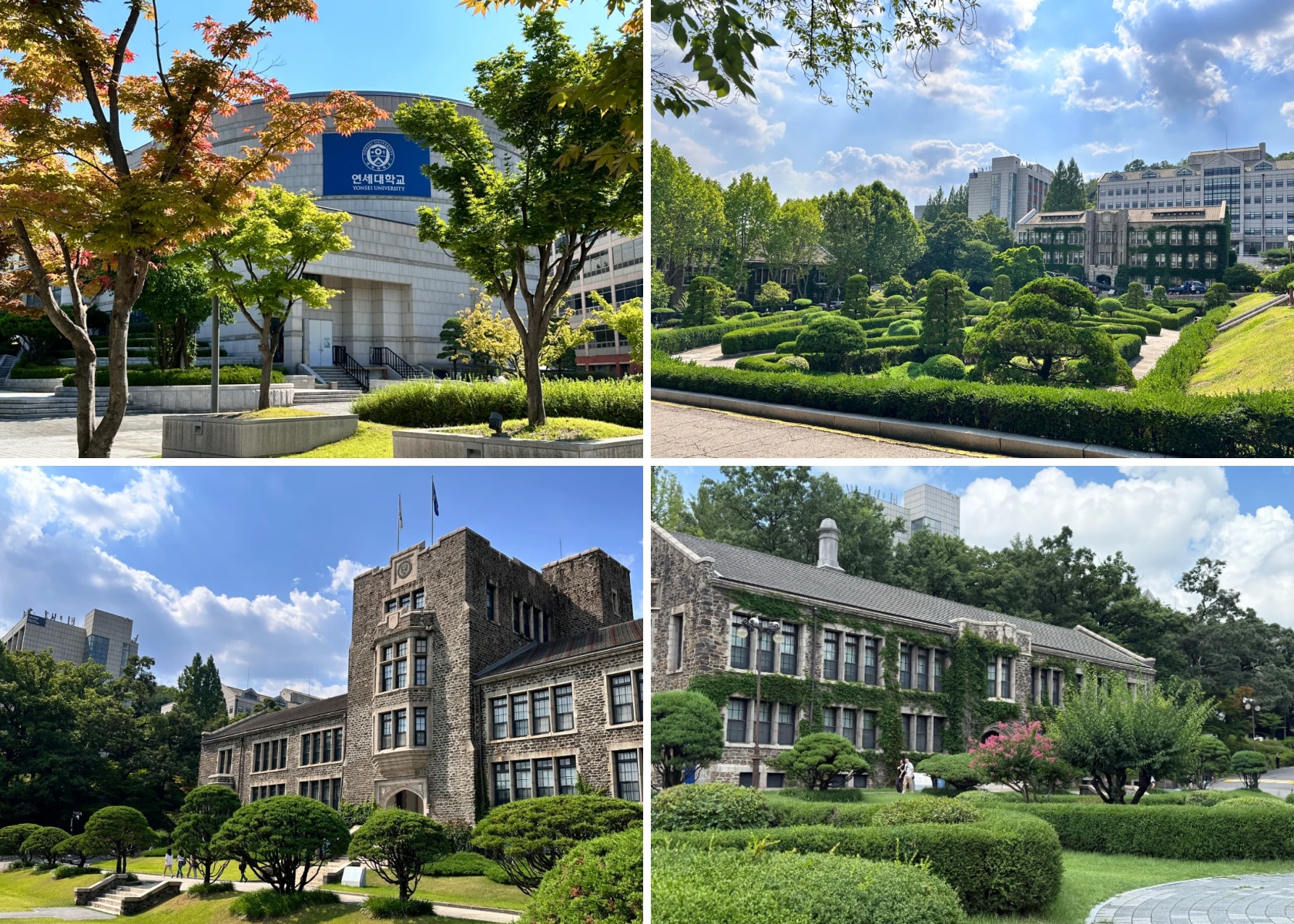 访校纪实丨领创蔚来国际教育韩国访校之旅(图5)