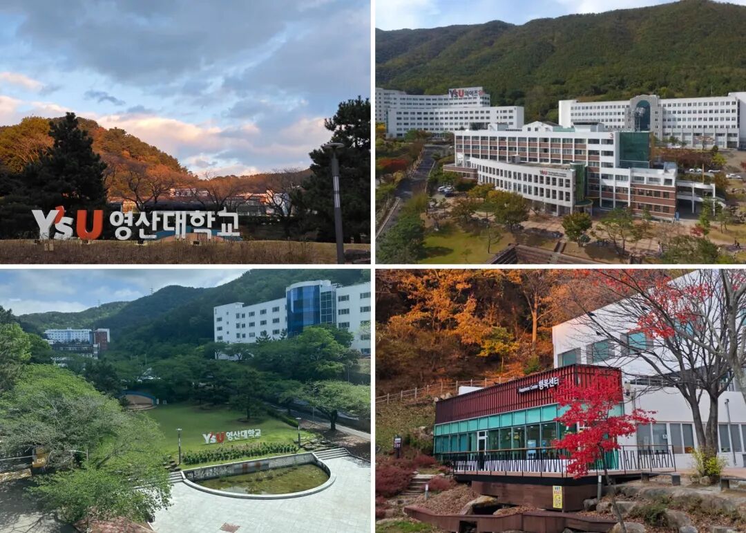 访校纪实丨领创蔚来国际教育韩国访校之旅(图63)