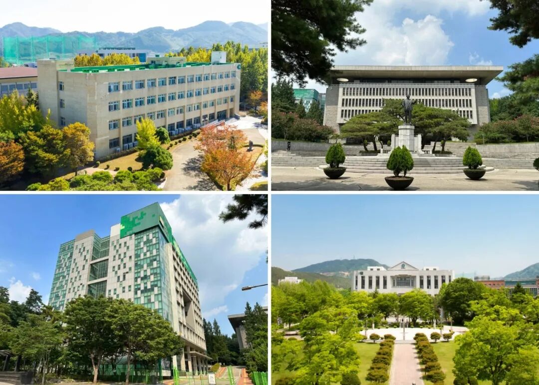 访校纪实丨领创蔚来国际教育韩国访校之旅(图38)