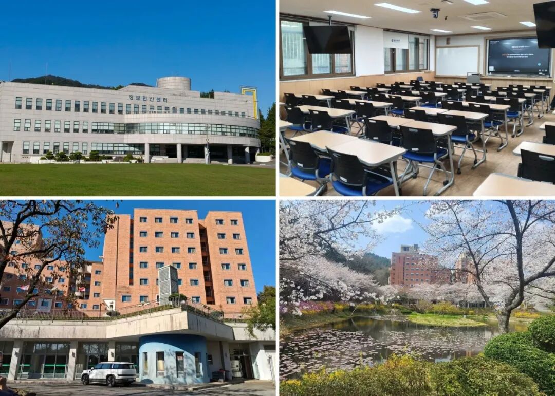 访校纪实丨领创蔚来国际教育韩国访校之旅(图78)