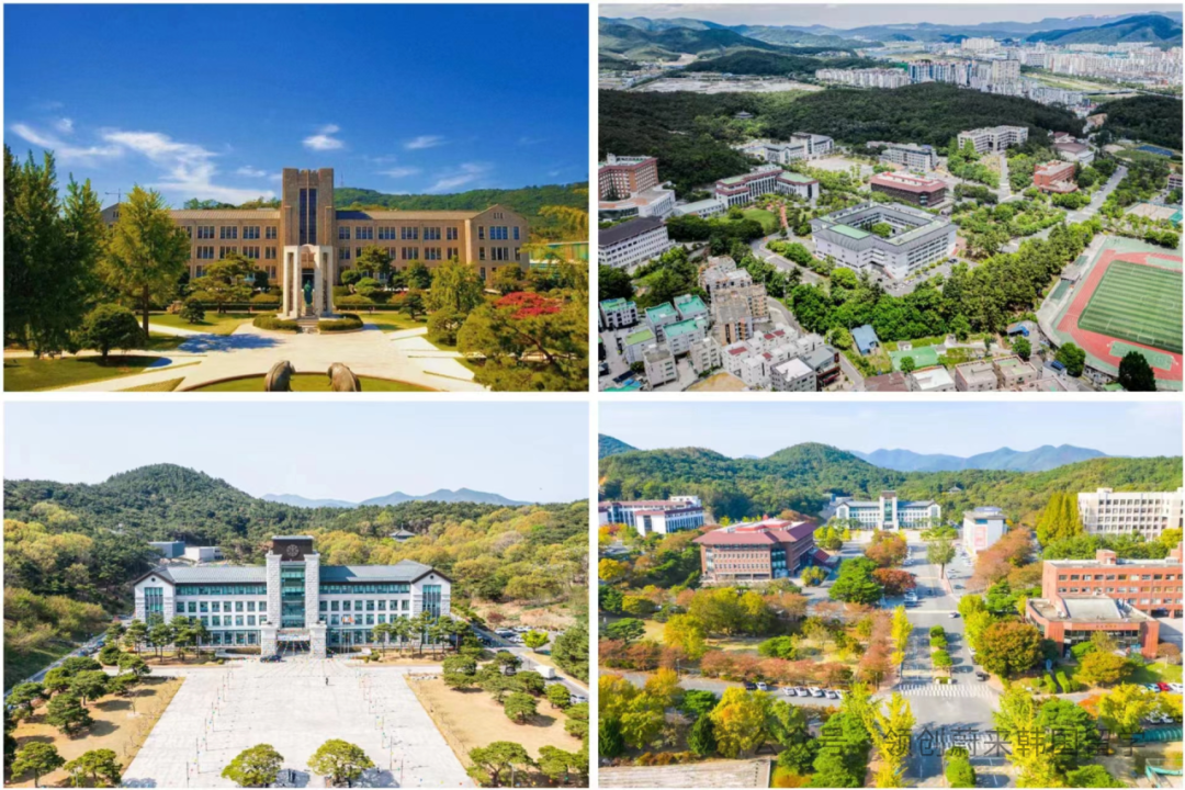 访校纪实丨领创蔚来国际教育韩国访校之旅(图30)