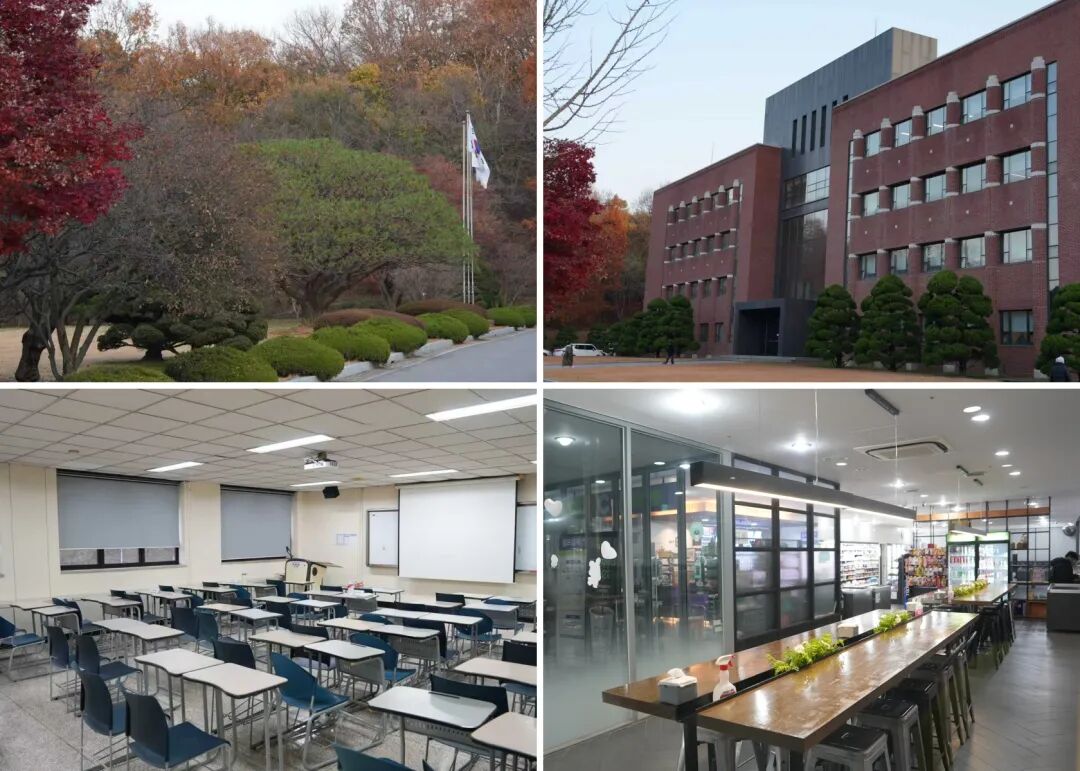 访校纪实丨领创蔚来国际教育韩国访校之旅(图113)