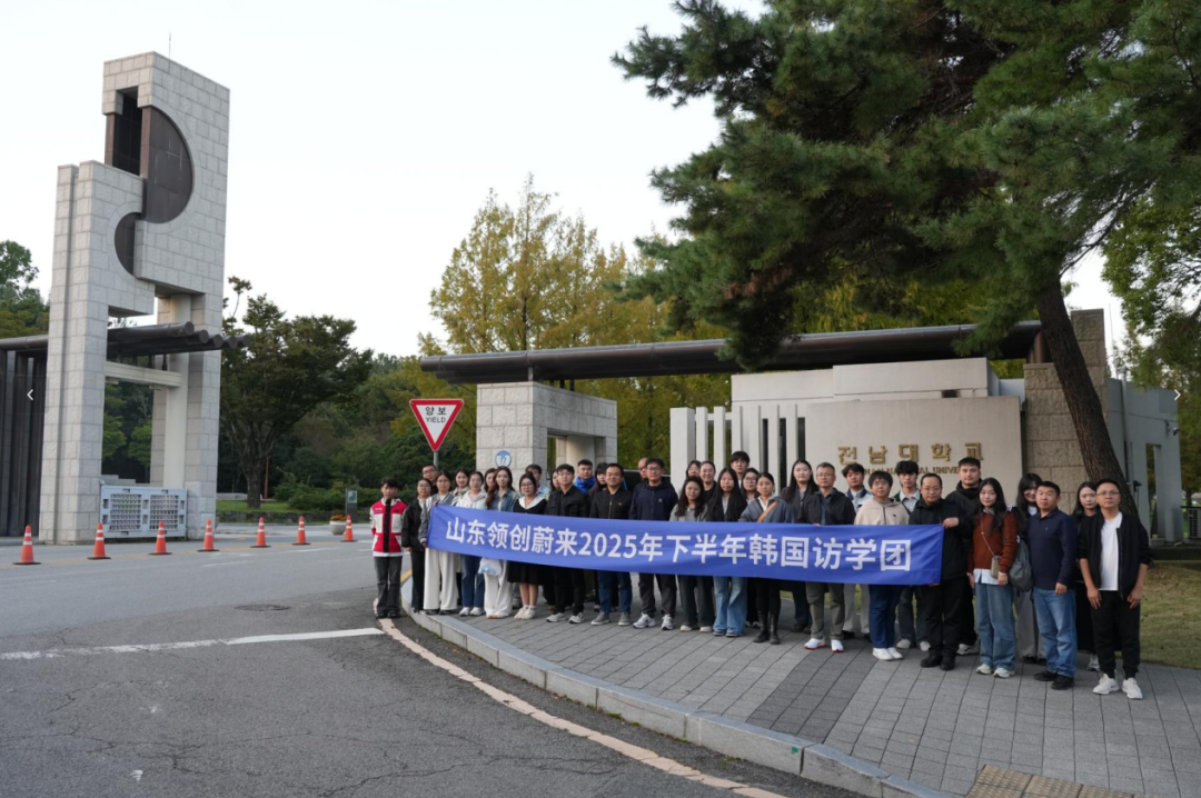 访校纪实丨领创蔚来国际教育韩国访校之旅(图47)