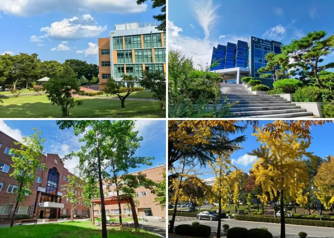 访校纪实丨领创蔚来国际教育韩国访校之旅(图97)