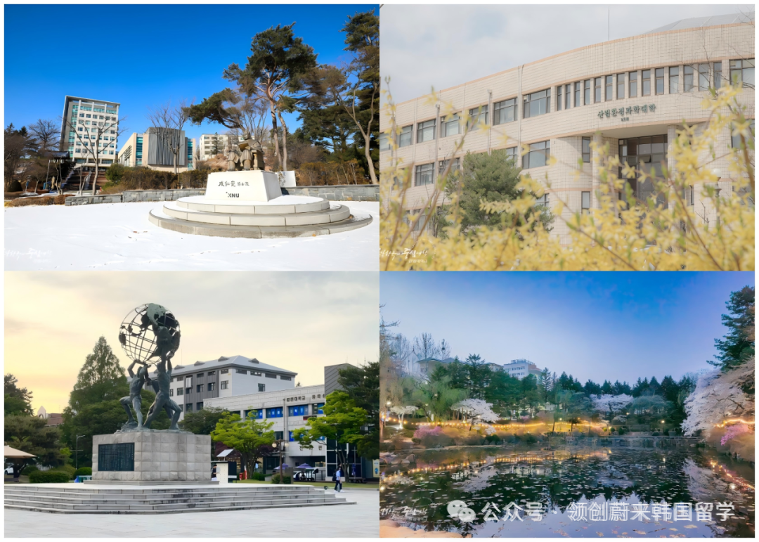 访校纪实丨领创蔚来国际教育韩国访校之旅(图57)