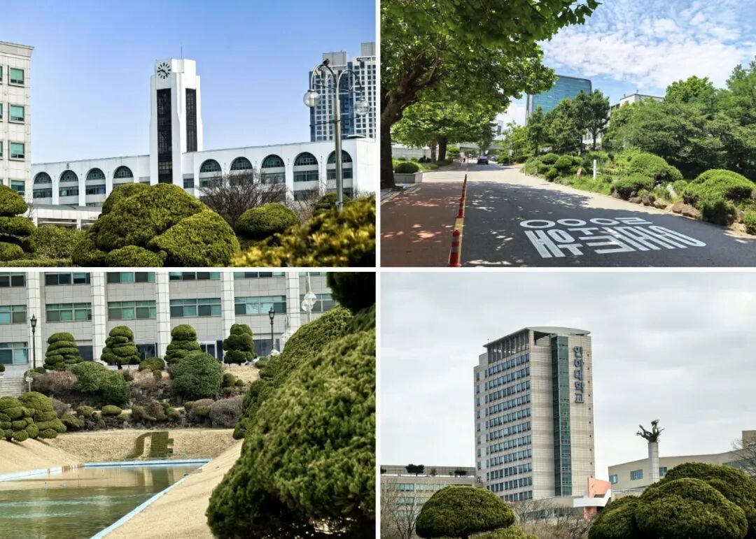 访校纪实丨领创蔚来国际教育韩国访校之旅(图33)