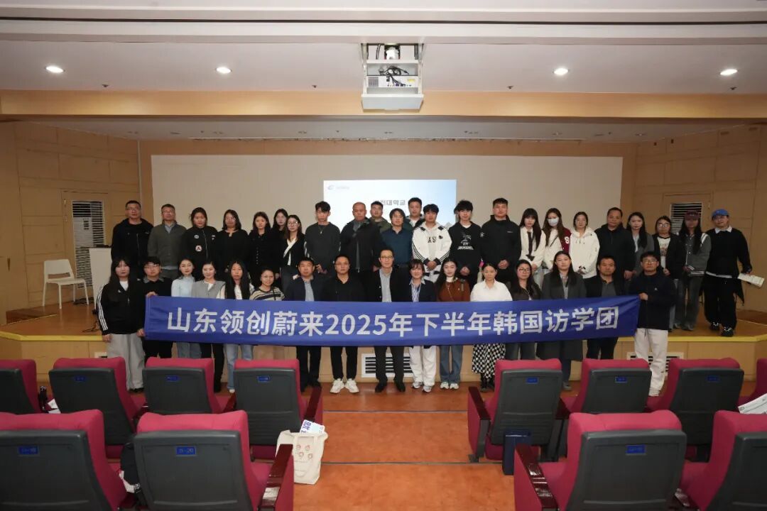 访校纪实丨领创蔚来国际教育韩国访校之旅(图100)