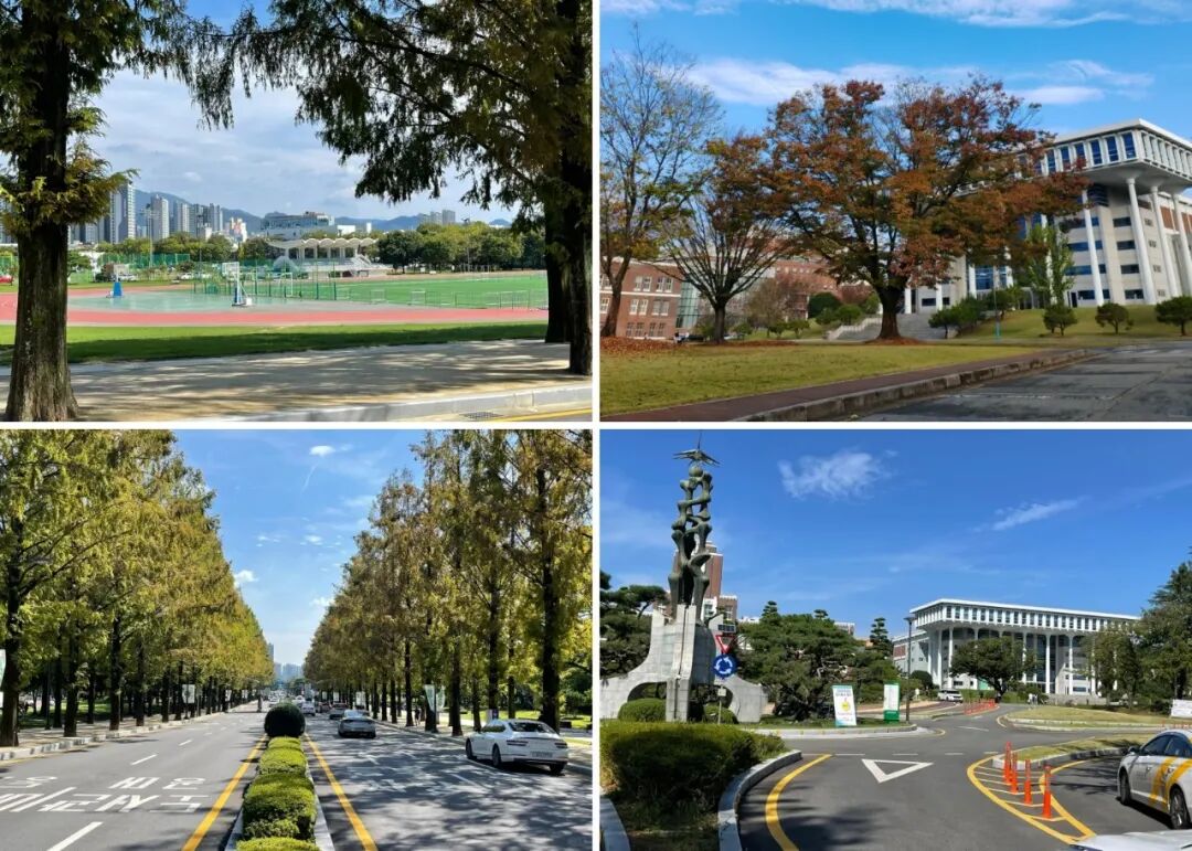 访校纪实丨领创蔚来国际教育韩国访校之旅(图49)