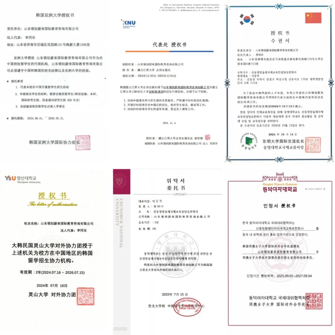 访校纪实丨领创蔚来国际教育韩国访校之旅(图127)