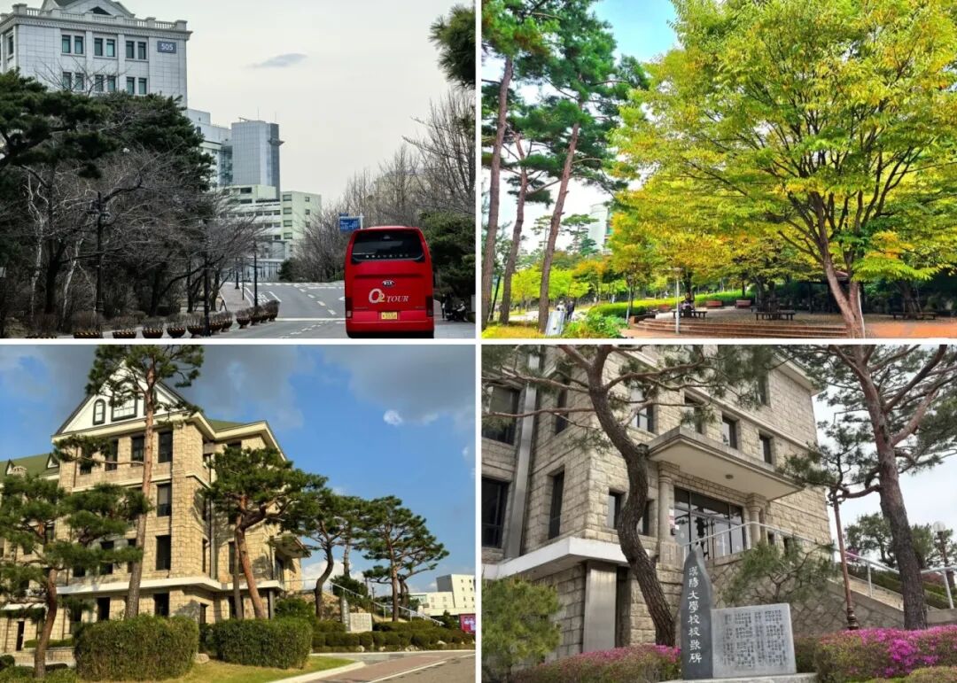 访校纪实丨领创蔚来国际教育韩国访校之旅(图11)