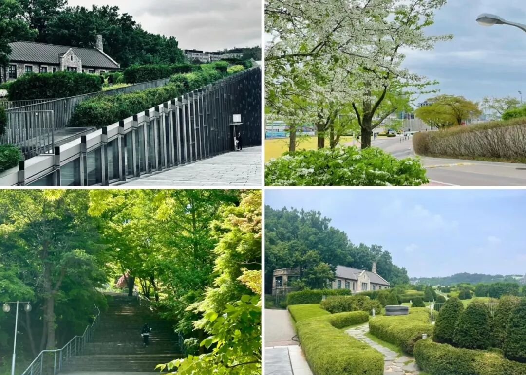 访校纪实丨领创蔚来国际教育韩国访校之旅(图20)