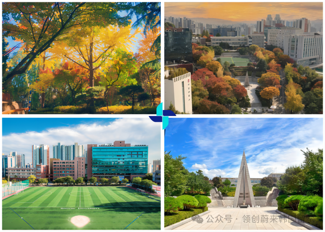 访校纪实丨领创蔚来国际教育韩国访校之旅(图23)