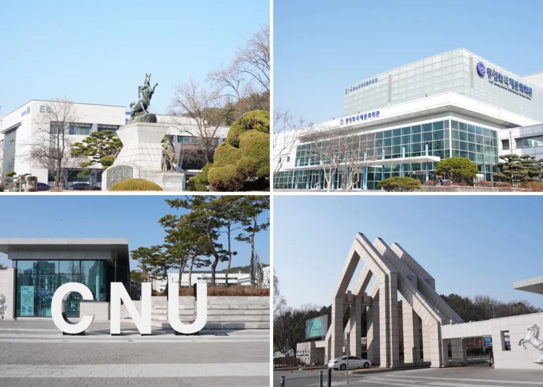 访校纪实丨领创蔚来国际教育韩国访校之旅(图45)