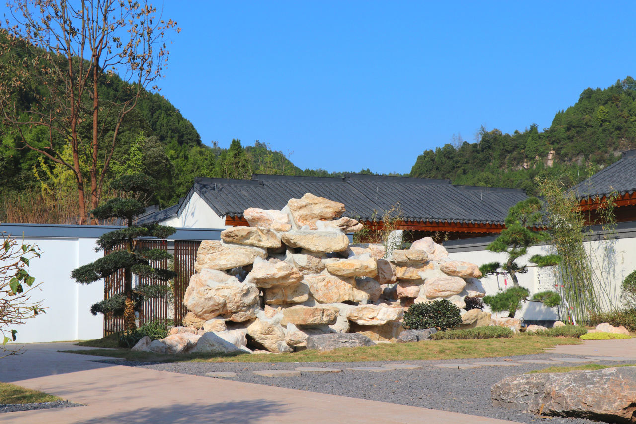 聚焦项目建设丨持续加力稳投资，九寨山景区森林康养基地建设项目提速推进(图3)