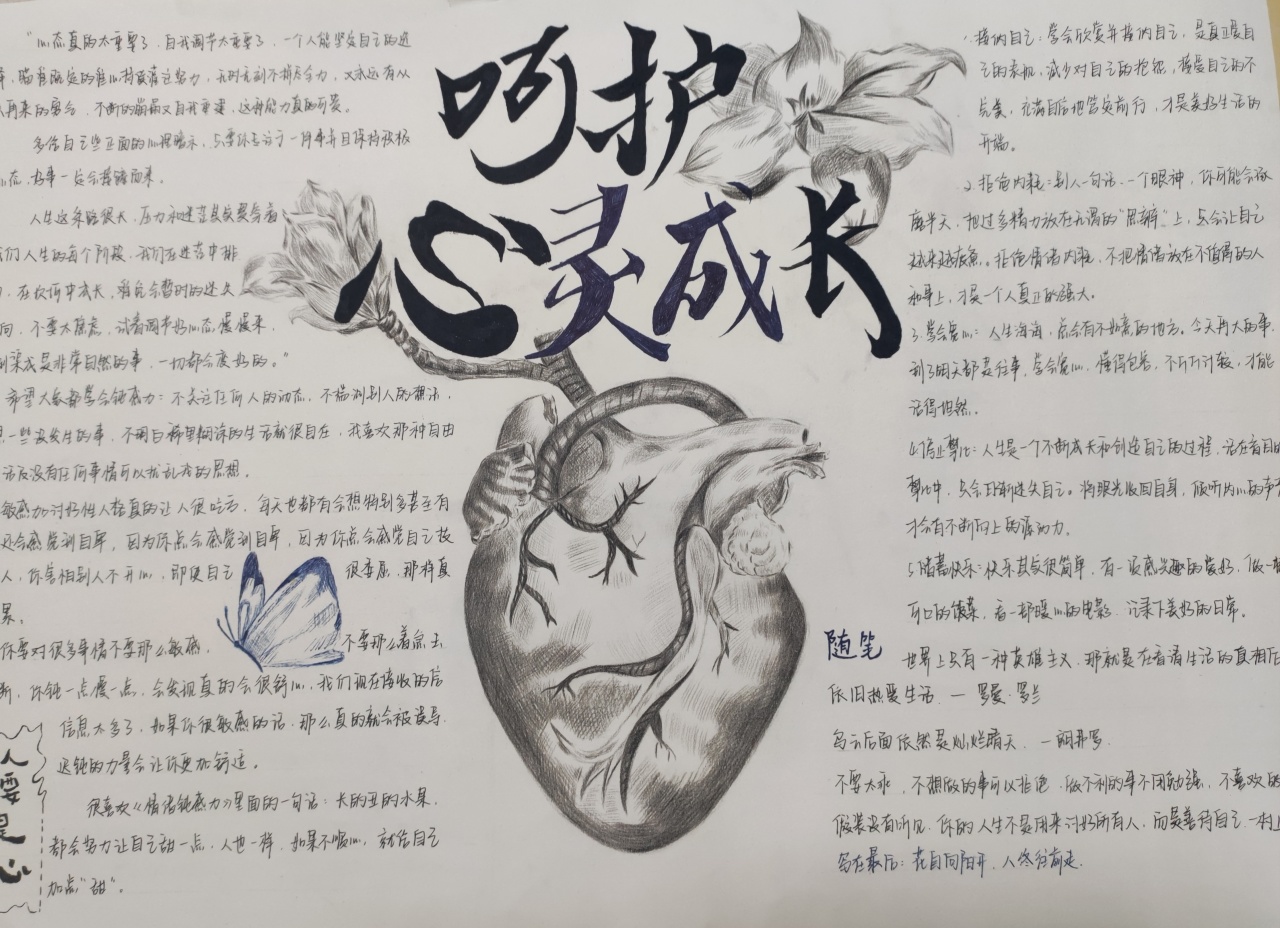 的手抄报作品吧快来欣赏这些释放心灵的压力诉说秋冬的心声人们的心