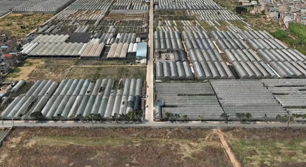 crop,h_569,w_1040,x_13,y_15