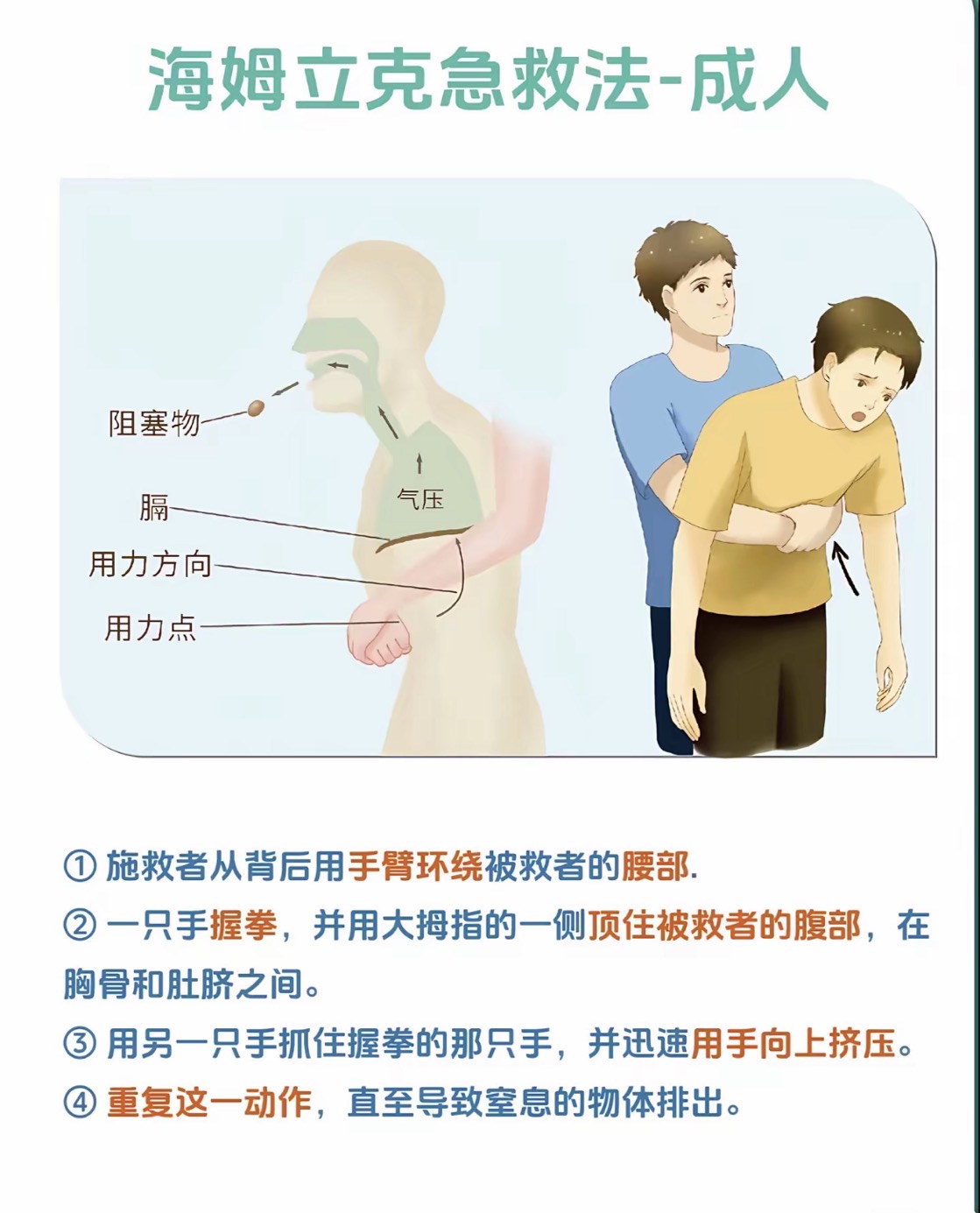 康盈科普 | 世界红十字日:关爱生命,共享健康(图4) 康盈科普 | 世界红十字日:关爱生命,共享健康(图4)