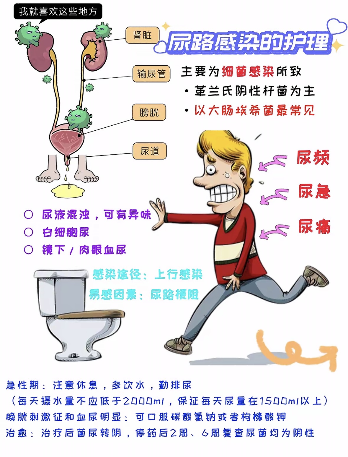 康盈科普 | 关注泌尿健康，身体内部的清泉系统(图3)