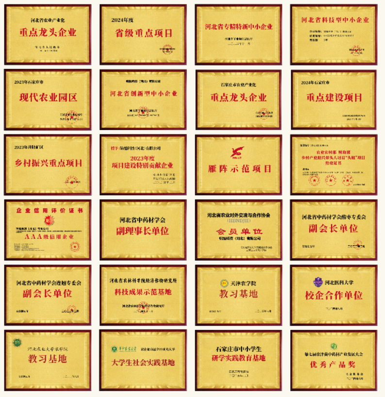 圖片關鍵詞