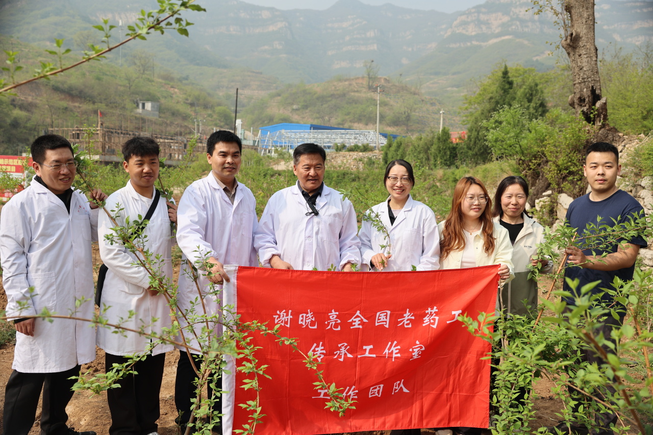 图片关键词
