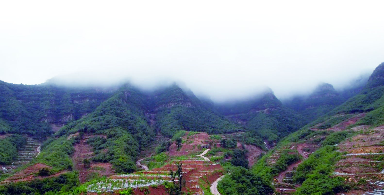 圖片關(guān)鍵詞