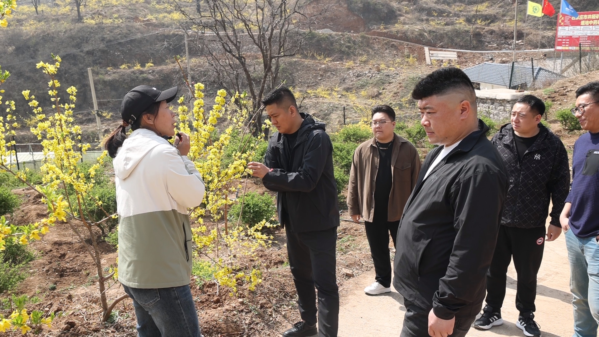 圖片關鍵詞