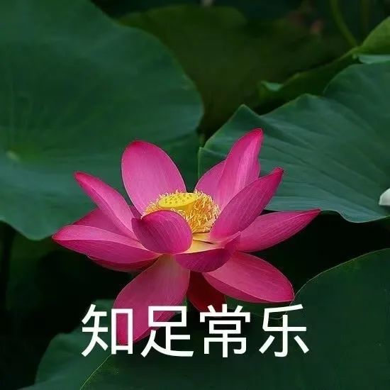 专业医生告诉你~_健康科普_资讯专区_便民专区_乐山