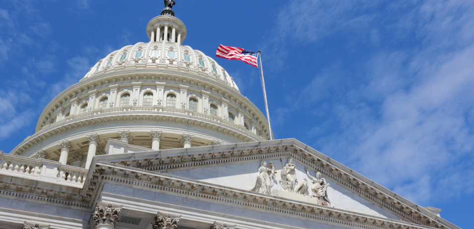 美本转学误操作导致 F1 身份失效？Transfer I-20 要注意！(图2)