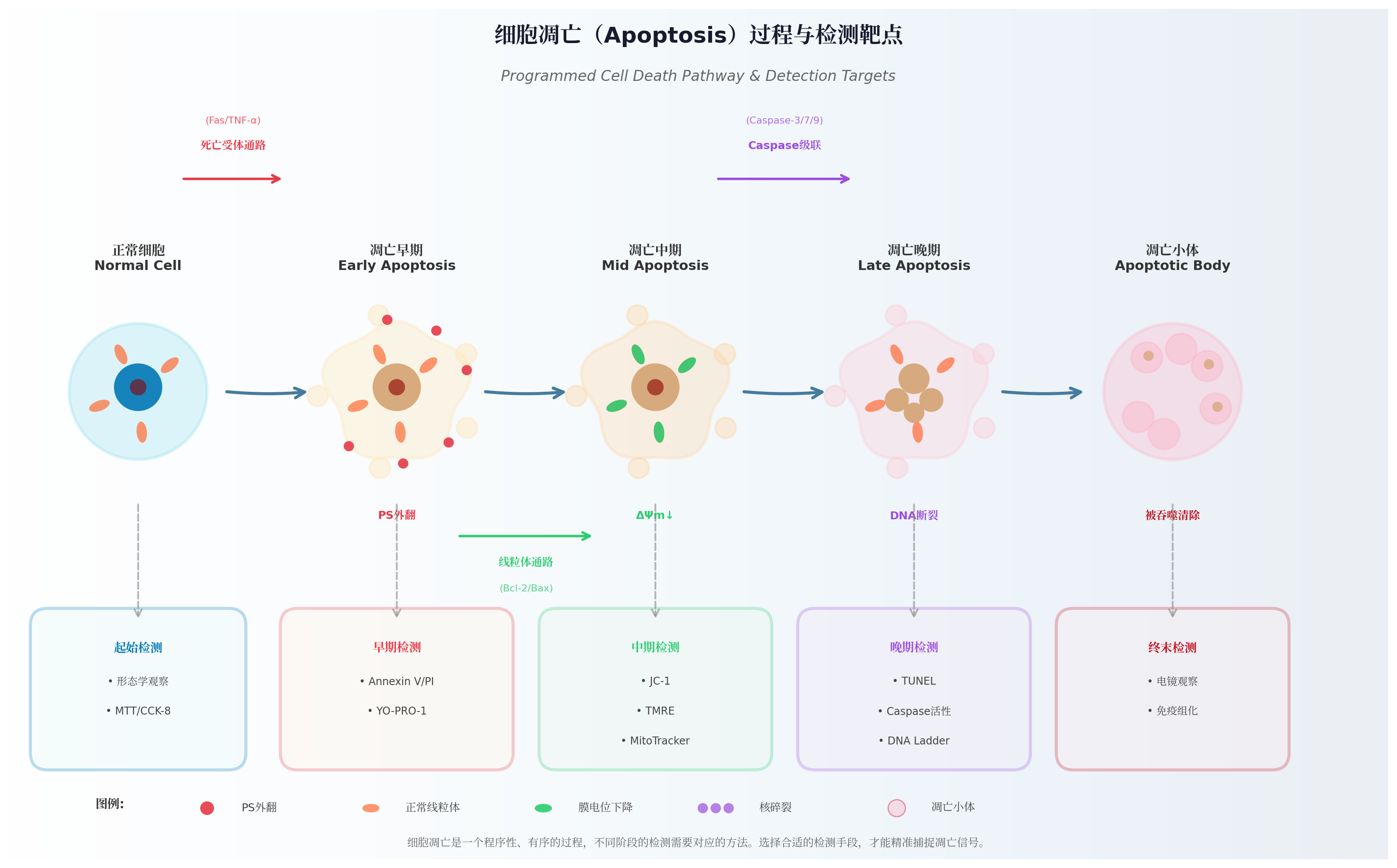 联纬生物--凋亡检测试剂盒