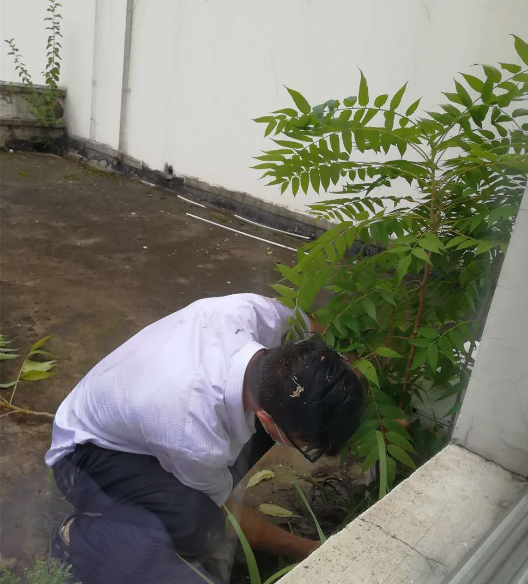 卫事康：多举措并举战雨季