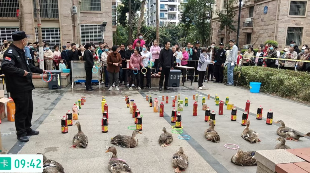 图片关键词