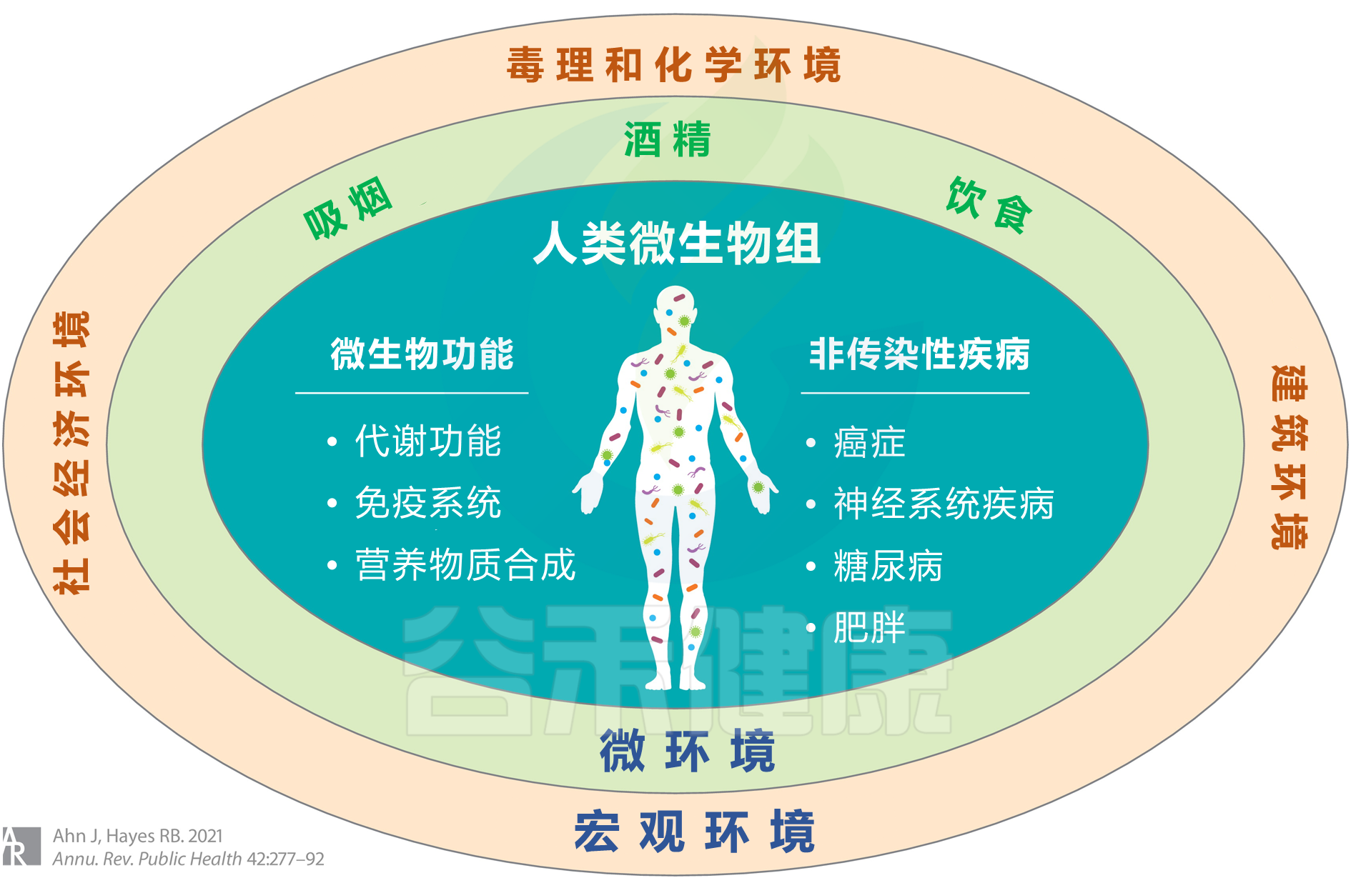 《原生家庭》影响人一生的心理动力_文库-报告厅